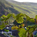 Weingut Erbes-henn Maison d'hôtes *