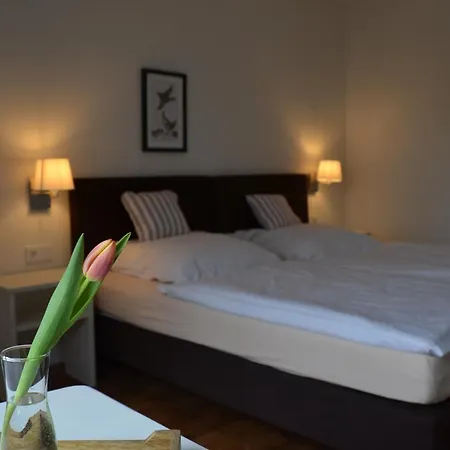 Weingut Erbes-henn Guest house