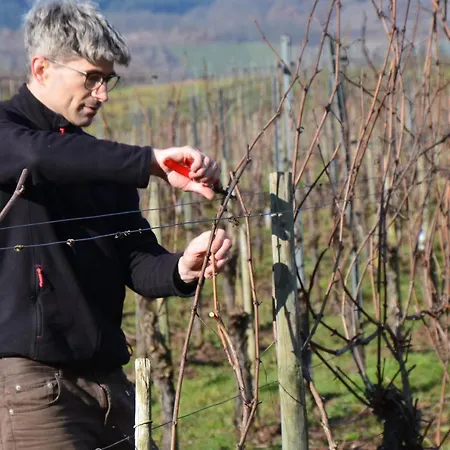 Weingut Erbes-henn Konukevi