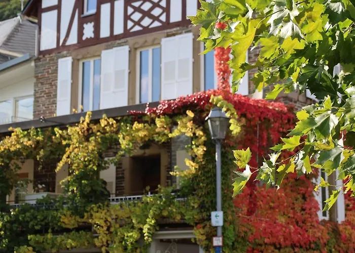 Weingut Erbes-henn 오지그