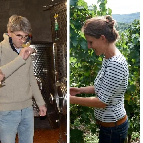 בית הארחה Weingut Erbes-henn