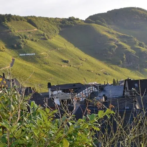 Weingut Erbes-henn בית הארחה *