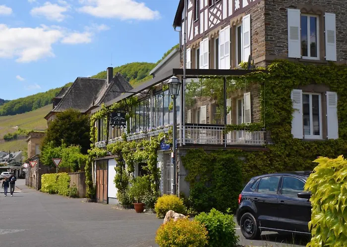 Weingut Erbes-henn בית הארחה *