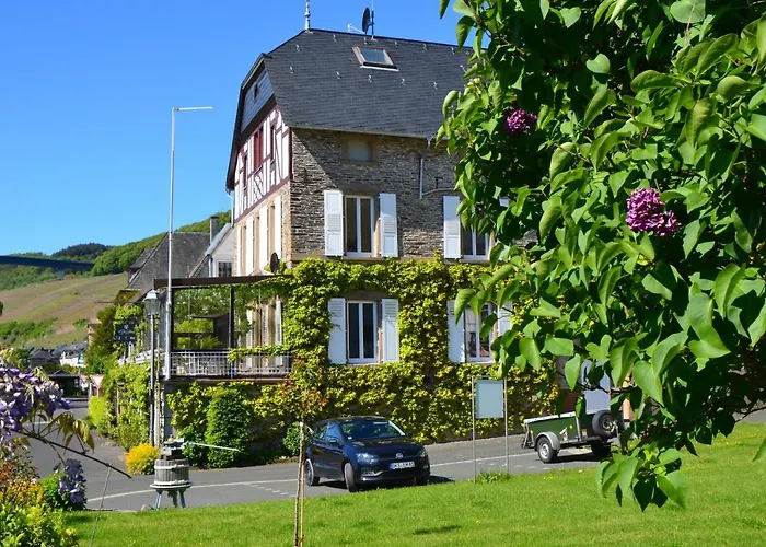 Weingut Erbes-henn בית הארחה *